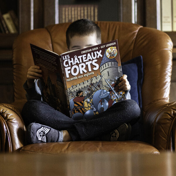 bande dessinée chateaux forts