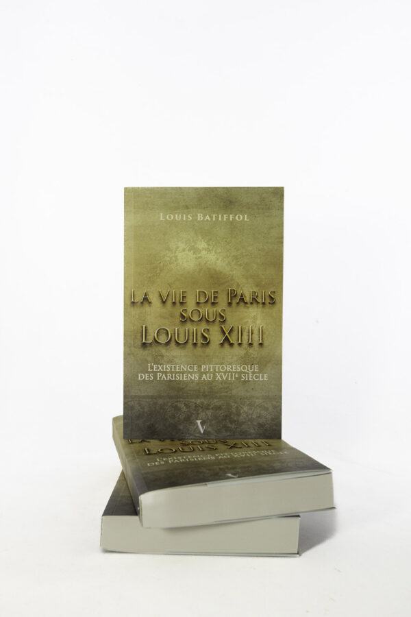 louis XIII roi vie de paris