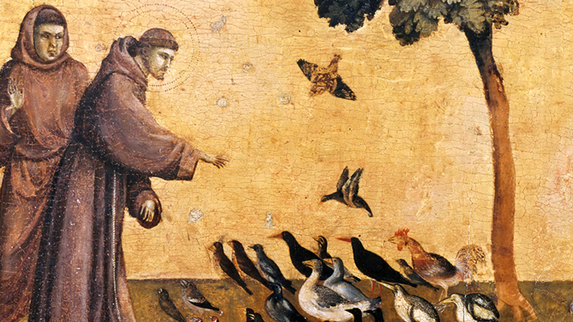 Saint François d’Assise