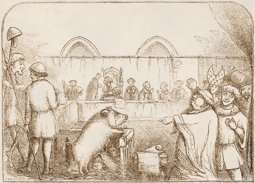 Le procès du cochon à Falaise en 1386
